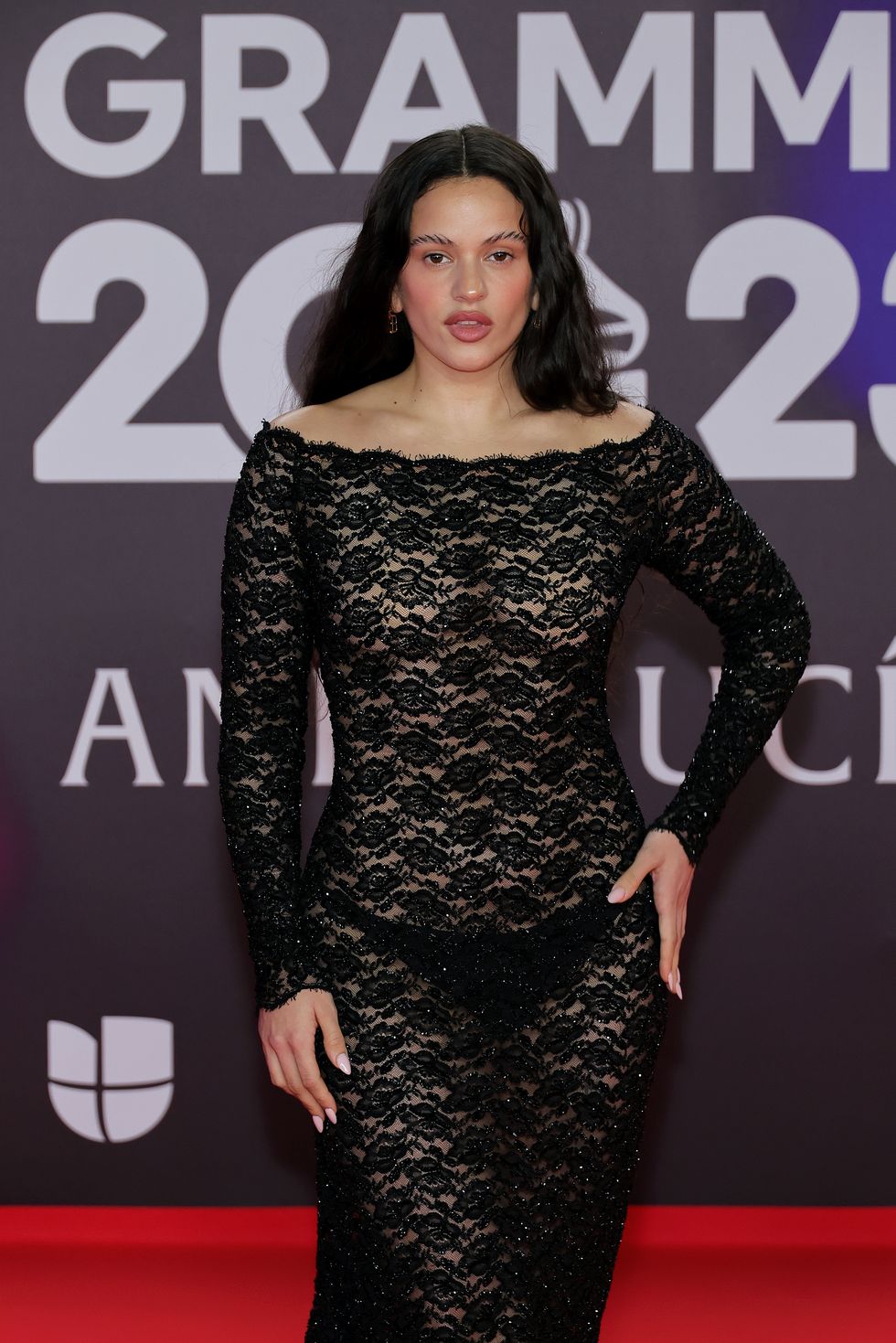 the 24th annual latin grammy awards arrivals
