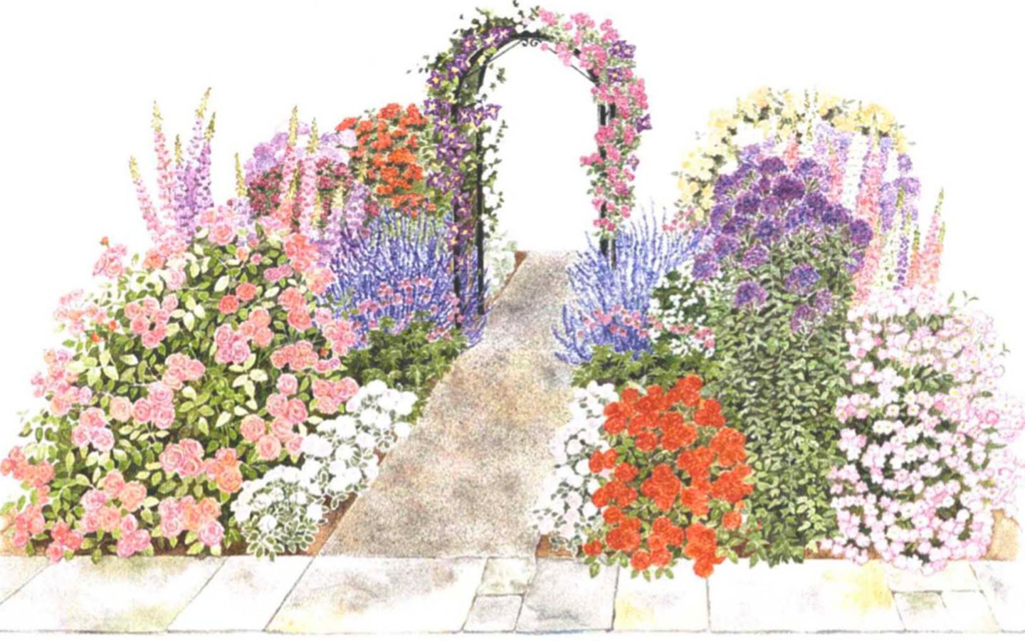 Sketch of a garden rose Royalty Free Vector Image