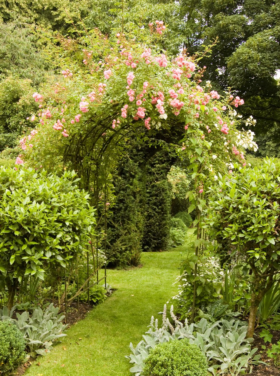pink roses blooming over an archway in an english garden during the summer