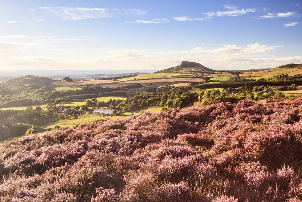 best uk holidays for families