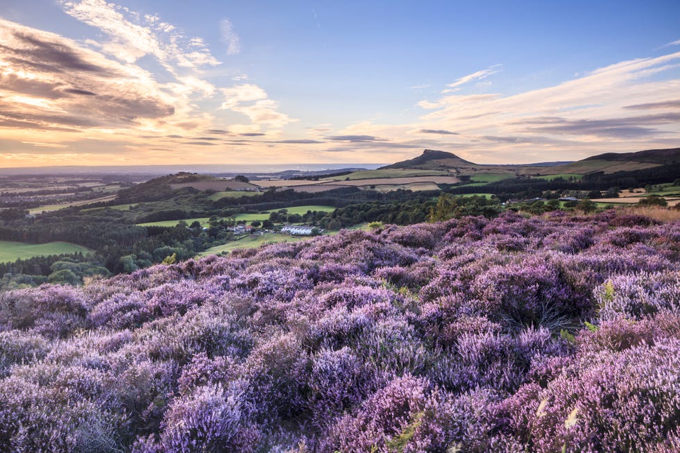 roseberry topping in the north york moors