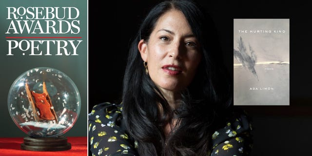 rosebud awards, poetry book, ada limon, hurting king