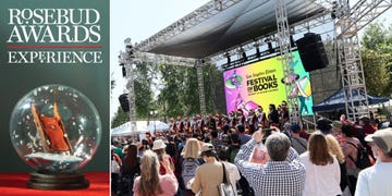 rosebud awards, 2022, experience