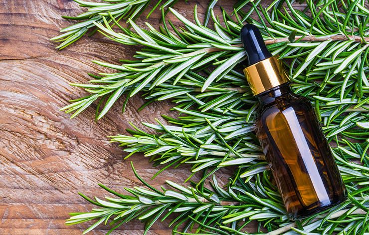 How to Use Rosemary Oil for Hair  Be Beautiful India