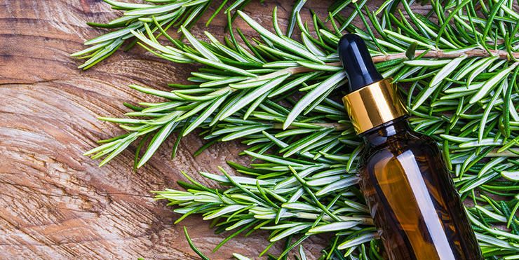 100% Pure Rosemary Oil Essential Oil Anti Hair Loss Growth Serum Olive  Coconut