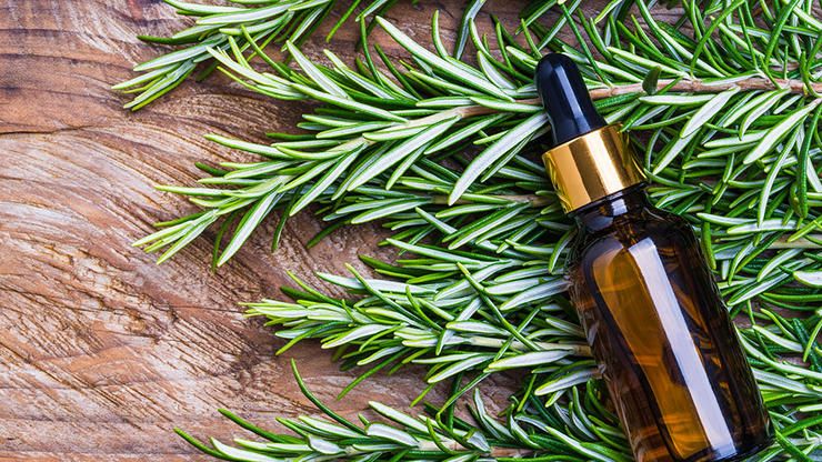 Rosemary Oil for Hair Growth: Benefits, Side Effects, How to Use
