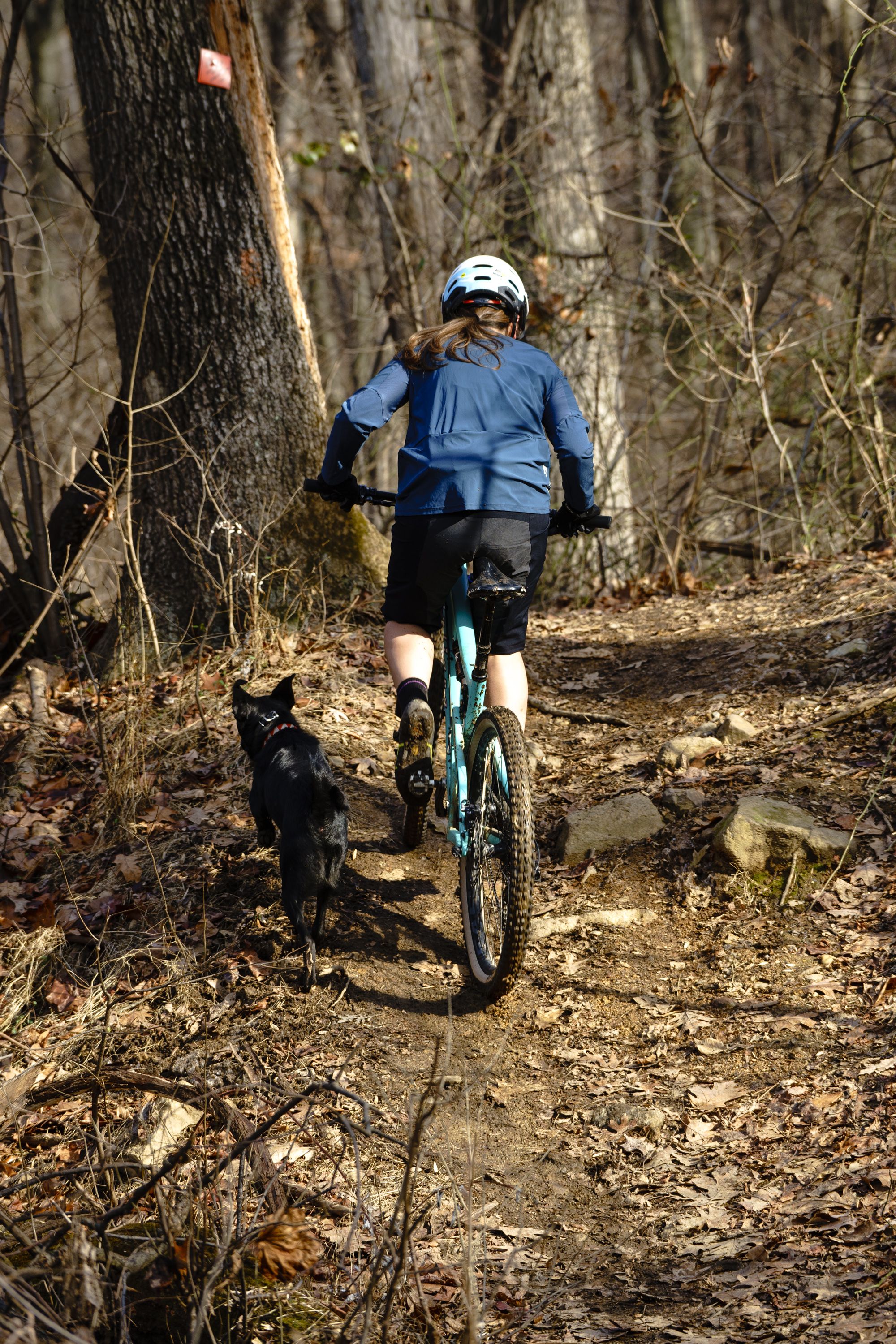 mountain biking with dog on leash