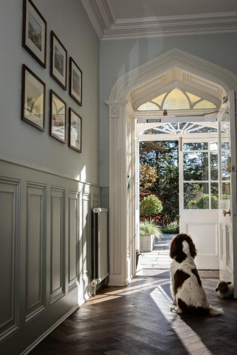 a dog sitting on the floor in a hallway