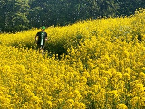 rotterdamse alp backyard ultra