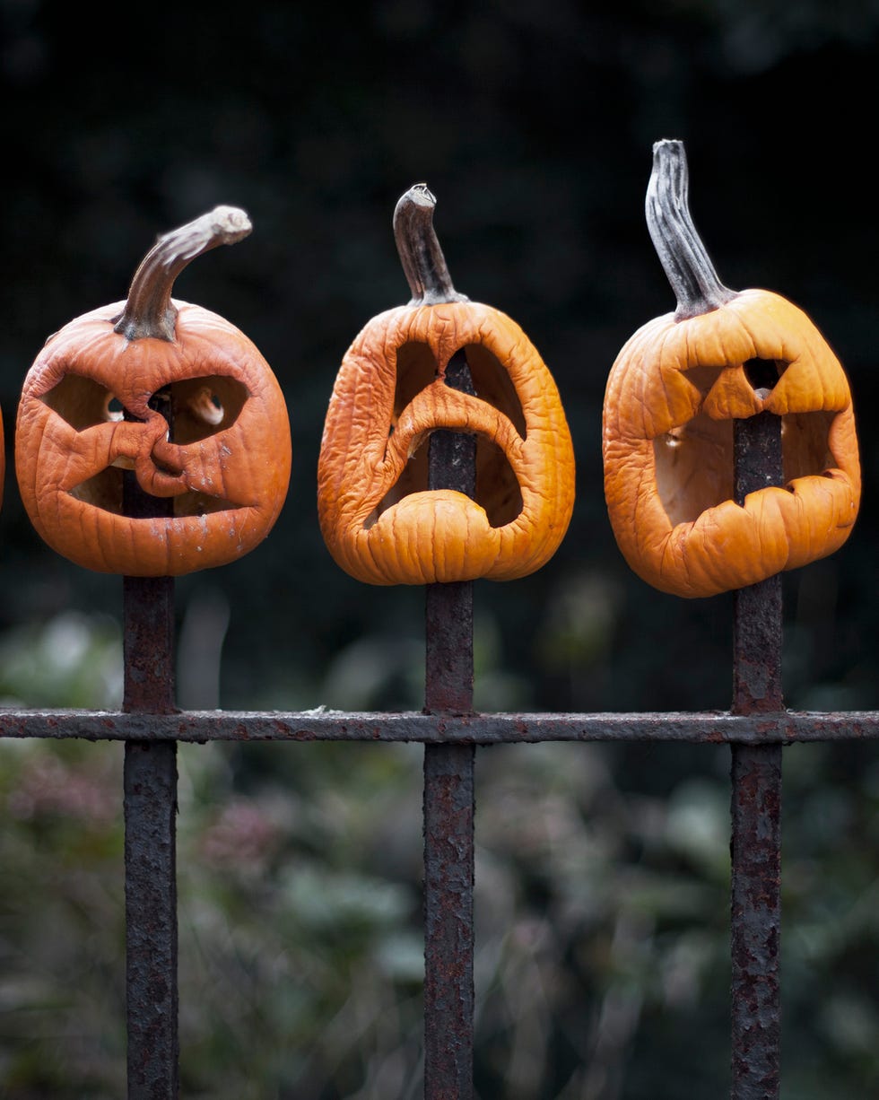 row of carved pumpkins impaled on fence