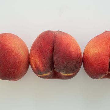 a row of white peaches on white surface beso negro