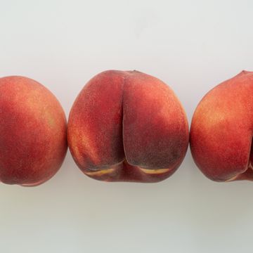 a row of white peaches on white surface beso negro
