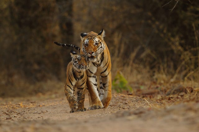 Best holiday destinations - India