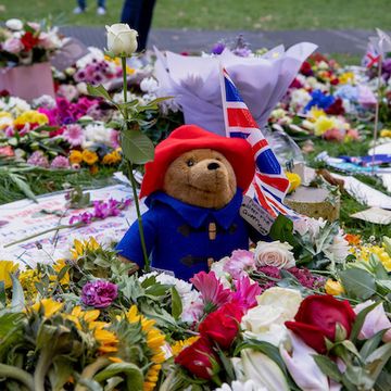 royal family confirms paddington bear tributes will be donated