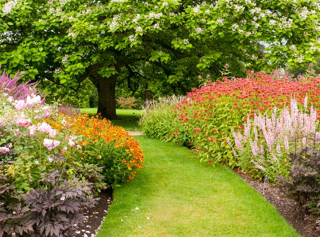 RHS to Keep Gardens Open During England's Lockdown