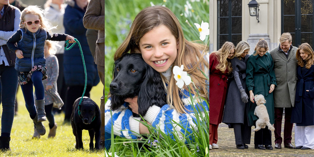 a person holding a dog