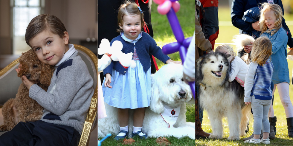 royal children with pets