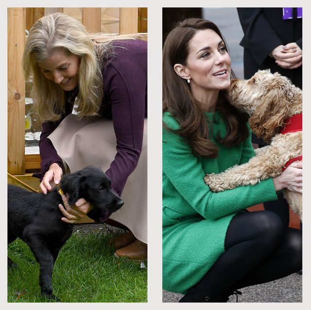 royal family with dogs