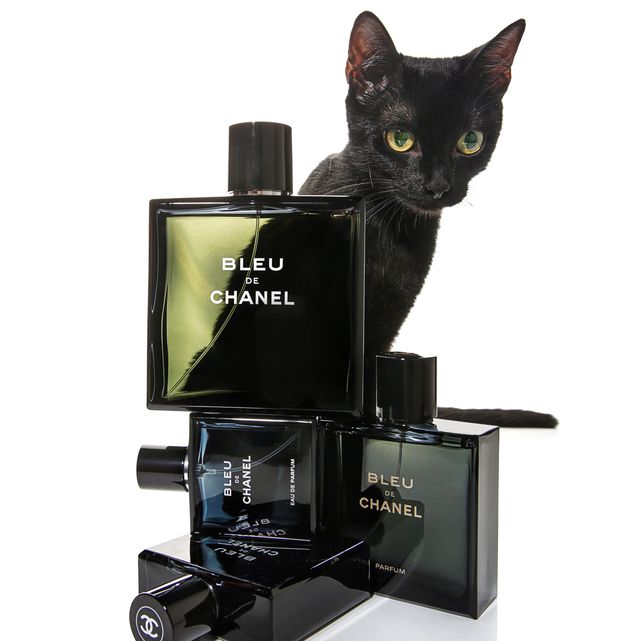 Bleu de Chanel: el perfume superventas para hombre