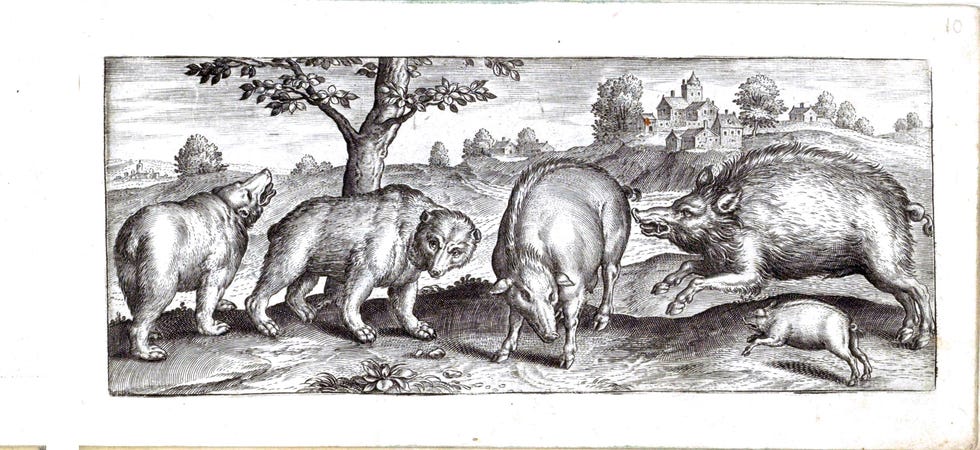 Beren varkens en een wild zwijn in een landschap Marcus Gheeraerts 1583