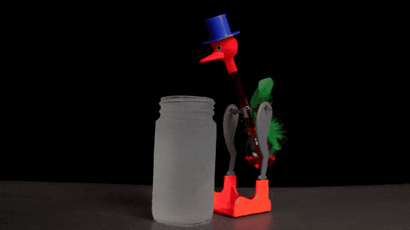 How a drinking bird toy works 