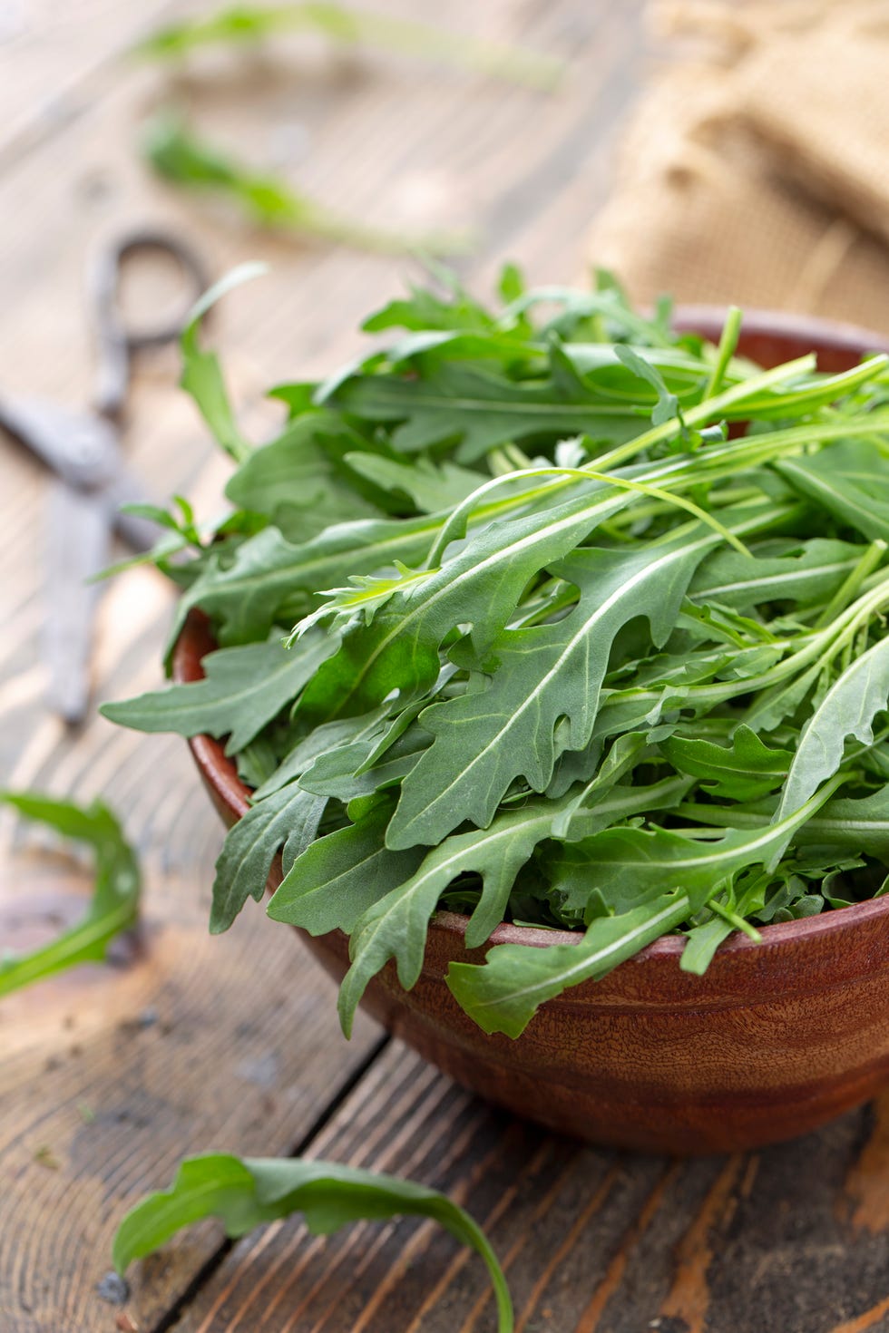 rucola in ciotola