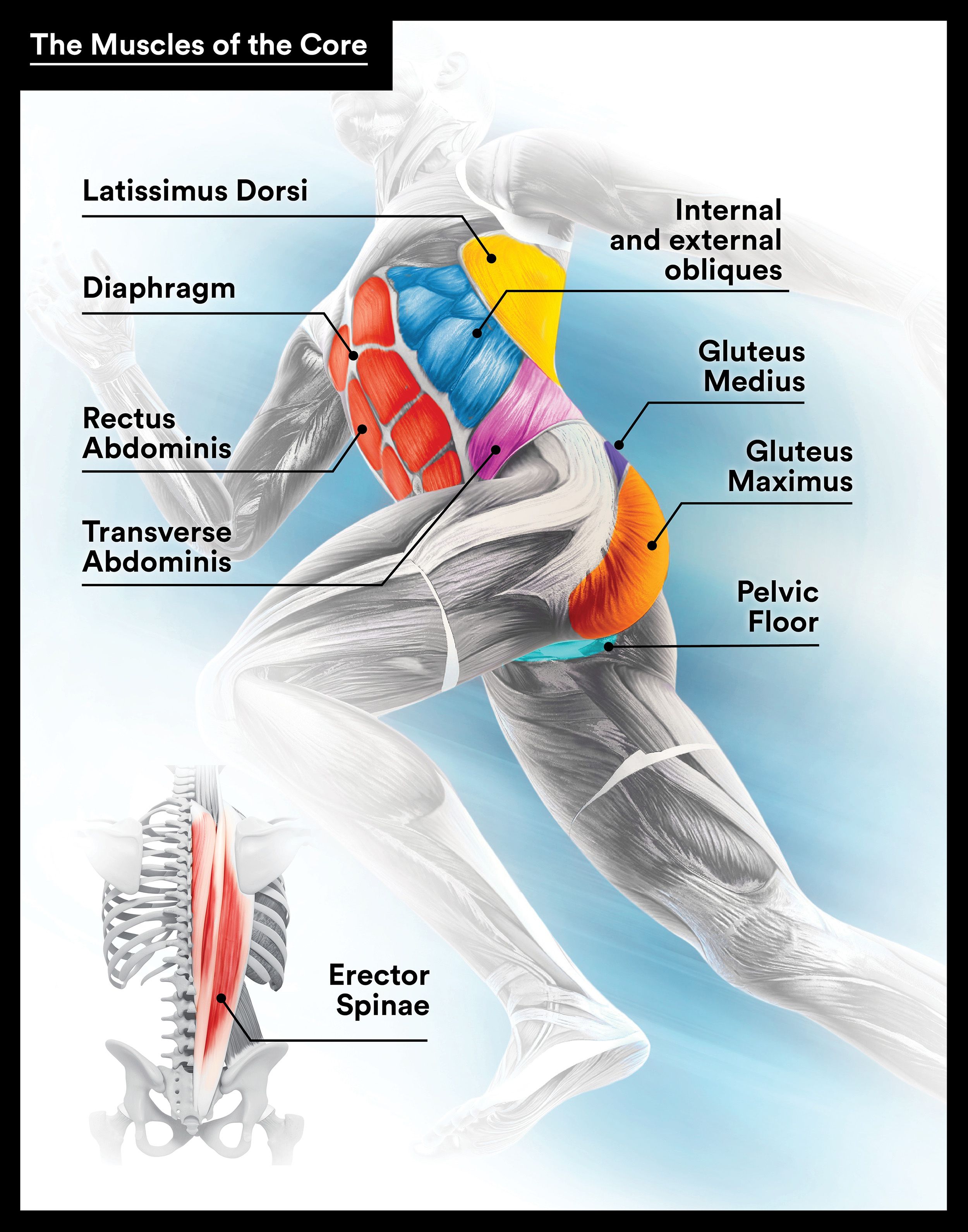 The Importance of Strengthening Your Muscles to Prevent Future Injury