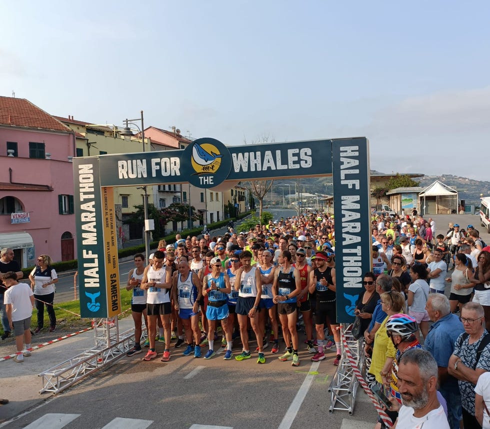 run for the whales half marathon