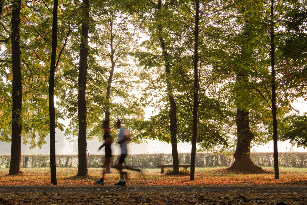 run in a park