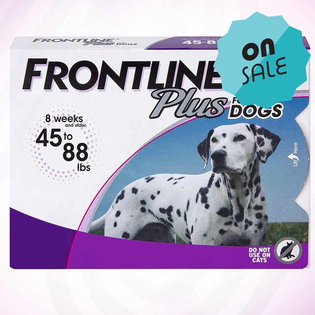 frontline plus for dogs flea and tick treatment large dog, 45 to 88 lbs