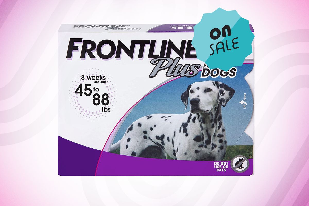 Keep the Pet Ticks at Bay With Up to 43% Off Frontline Plus at Amazon