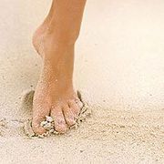 Media: Should You Be Running Barefoot?