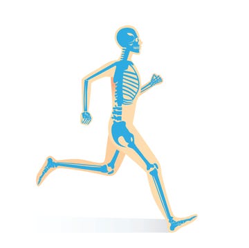 returning to running after runners knee returning to running after runners knee