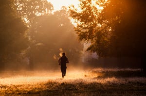 an athlete enjoys the serenity of an early morning workout in richmond park, london