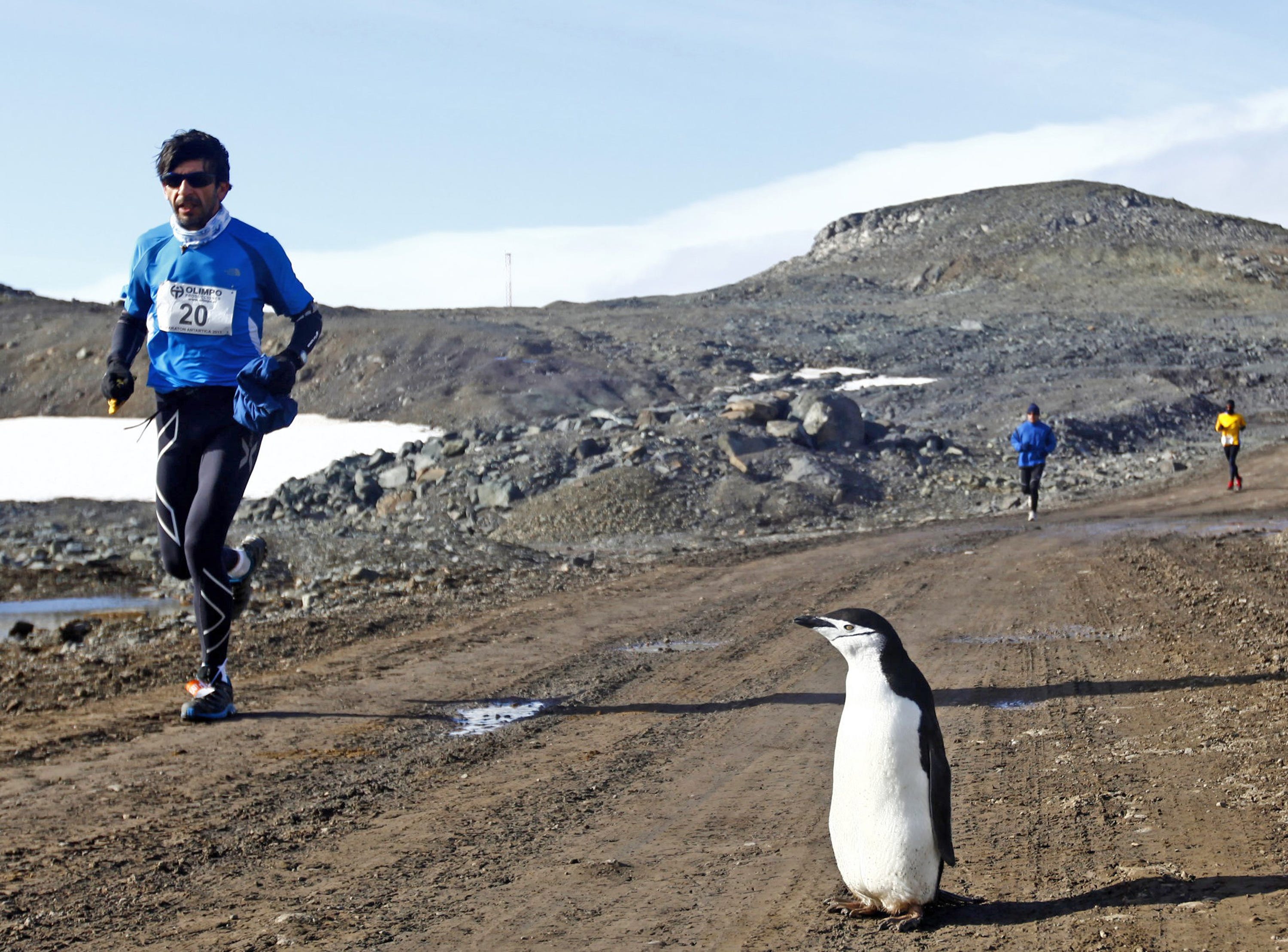 marathon antarctica