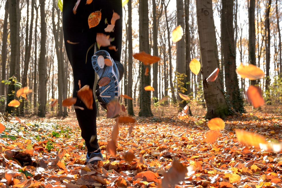 runner in fall leaves