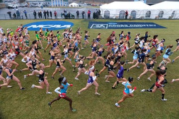 2019 ncaa division i men's and women's cross country championship