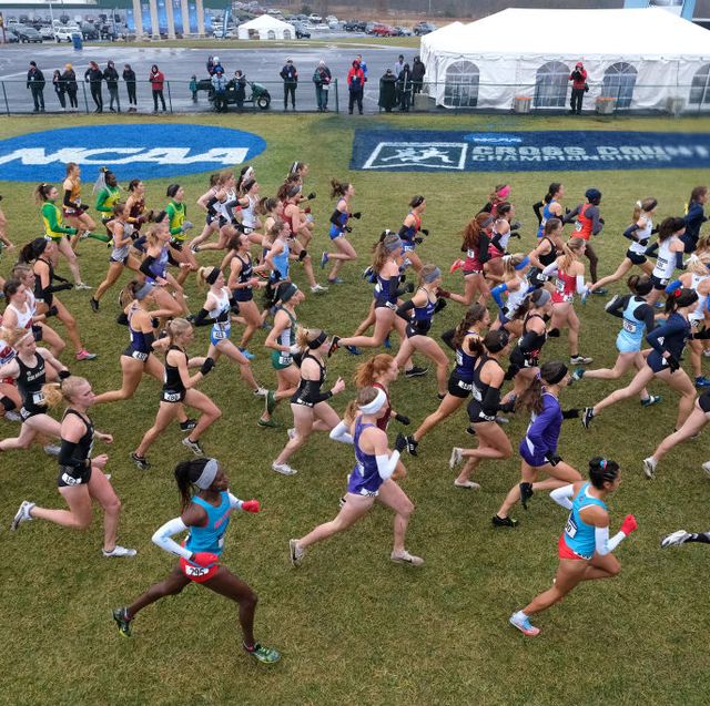 2019 ncaa division i men's and women's cross country championship