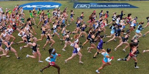 2019 ncaa division i men's and women's cross country championship