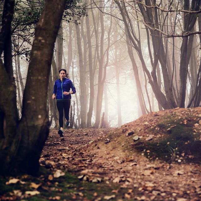 running free through the forest