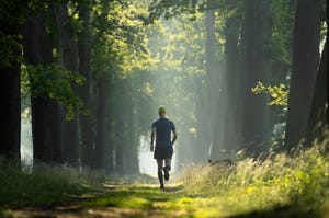 hardlopen natuur