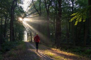 man van achteren gefotografeerd hardlopend in bos