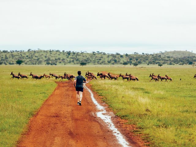 Running safari