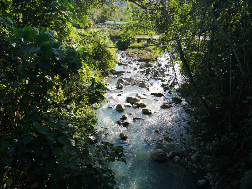 Borneo tours - Borneo orangutan tour