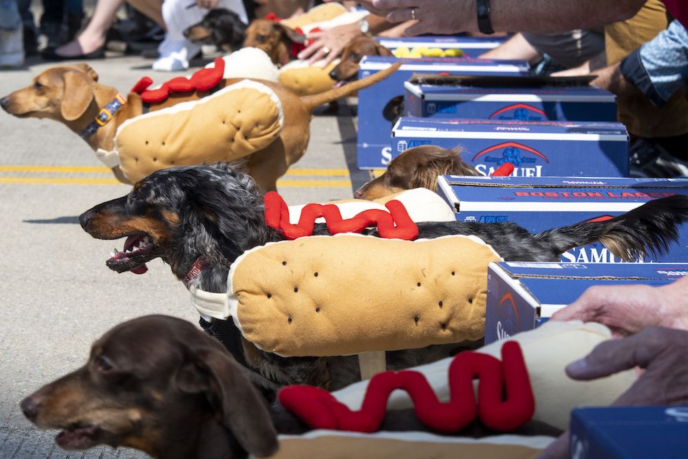 Running of 2025 the wieners