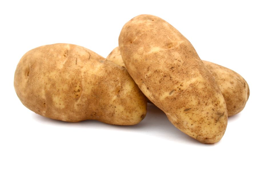 russet potato