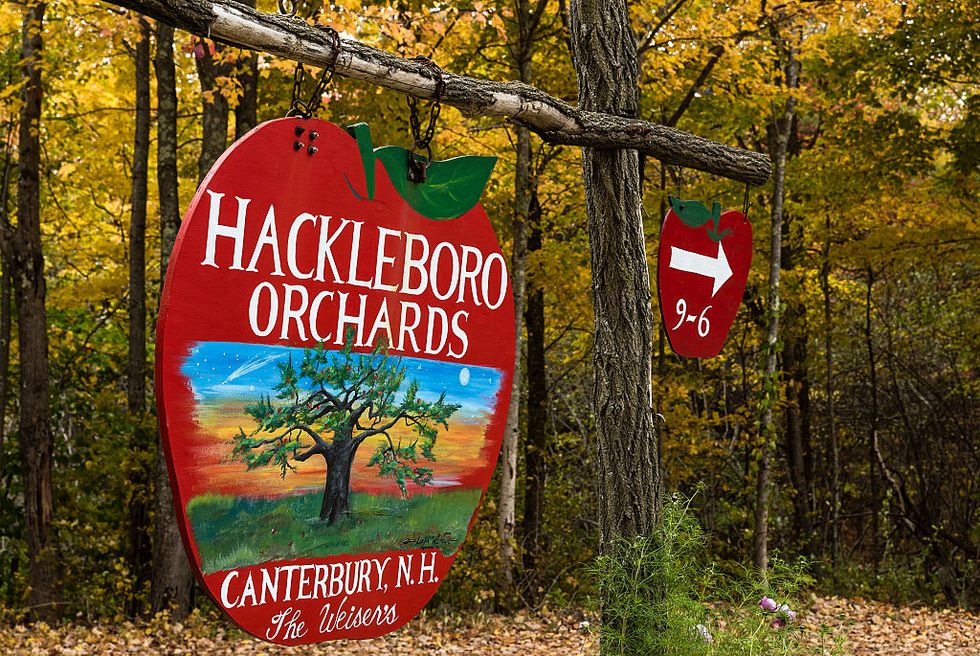 rustic apple orchard sign