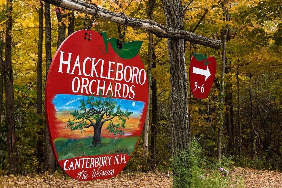 rustic apple orchard sign
