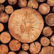 rustic weathered wood logs