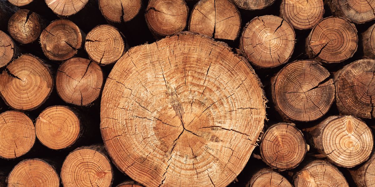 rustic-weathered-wood-logs-royalty-free-image-1654709658.jpg